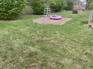Leaf Removal by Bryan Fletcher for Ali B. in Independence, MO