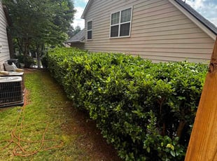 Bush Trimming by Zoe Schofield for Dee D. in Canton, GA