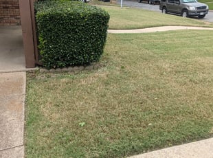 Bush Trimming by Eve Solis for Philip M. in Arlington, TX