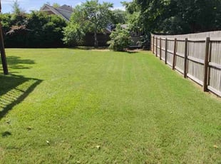 Shawn S.'s Lawn Maintenance service result