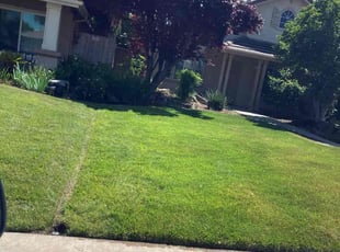 Jennifer W.'s Lawn Care service result