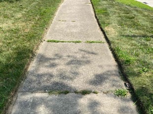 Cleanups by Ricardo Binyard Jr for Melba R. in Sterling Heights, MI