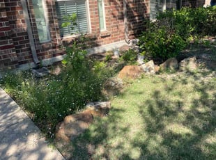 Bush Trimming by Alma Avila for Jennifer H. in Rockwall, TX