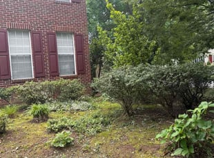 Bush Trimming by Eduardo Guzman for Stephanie W. in Leesburg, VA