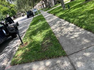 Esam E.'s Lawn Care service result