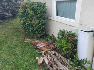 Bush Trimming by Jonathan Johnson for Nicholas B. in Fort Myers, FL