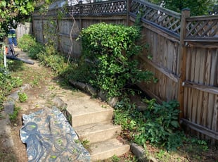 Bush Trimming by Norman Blanchard for Christi C. in Washington, DC