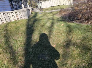 Leaf Removal by Robert Dowdy for Aslander F. in Milwaukee, WI