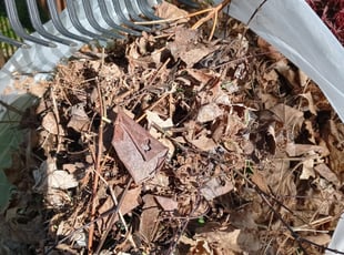 Leaf Removal by Tina Penney for Verai R. in Columbus, OH