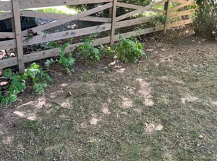 Cleanups by Jason Scott for Ken C. in Rockville, MD