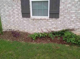 Weeding by Jeromy Partaine for Rebecca P. in Southaven, MS