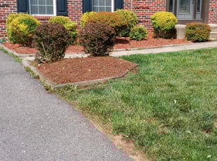 Cleanups by Amber Fuentes for Victor H. in Bowie, MD