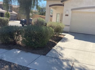 Leaf Removal by Erin Milburn for Suneel C. in Surprise, AZ