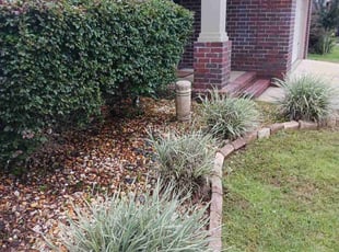 Bush Trimming by Chad Wright for Colton R. in Cantonment, FL