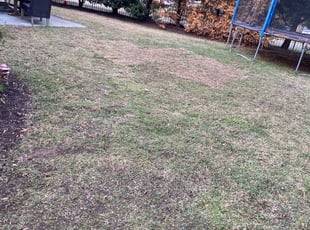 Leaf Removal by Jonathan Villatoro for Michael V. in Arlington, VA