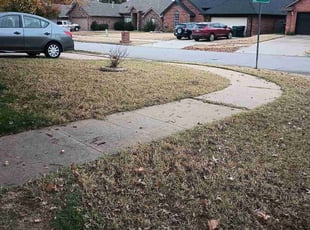Leaf Removal by James Jones III for Michelle W. in Edmond, OK