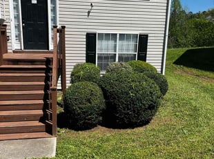 Bush Trimming by Cory Davis for Kimberly R. in Hampton, GA
