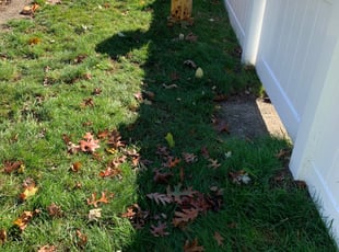 Leaf Removal by Nicholas Violante for Michael C. in Attleboro, MA