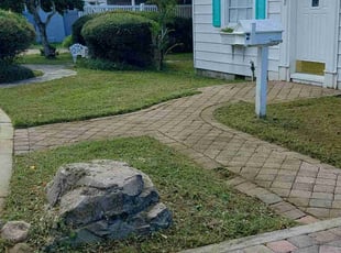 Collin Sr & Sherlene J.'s Yard Cutting service result