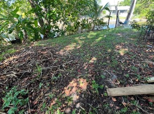 Leaf Removal by Devin Wiggins for Aminata M. in Fort Lauderdale, FL