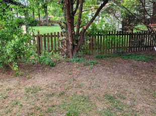 Bush Trimming by Mike Williams for Colanthia O. in Glen Allen, VA