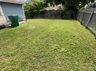 Cleanups by Joshua Benouis for Edmar G. in Pflugerville, TX