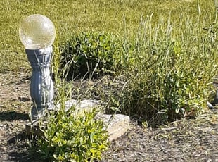 Jennifer C.'s Flower Bed Weeding service result