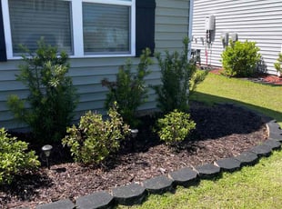 Weeding by Stuart Moyes for Brande G. in Summerville, SC