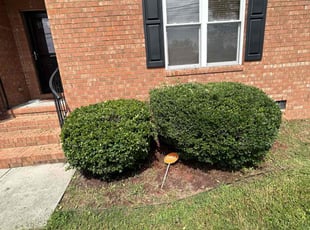 Bush Trimming by James Mozelle for Keith R. in Hampton, VA