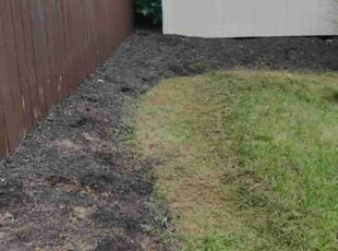 Weeding by Dana Medina for Shelby H. in Akron, OH