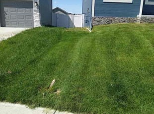 Tammy M.'s Lawn Mowing service result