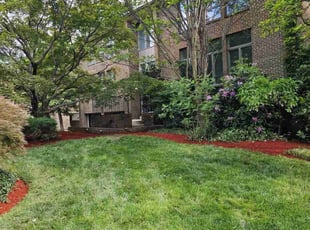 Mulching by Rose Valle for Justin C. in Alexandria, VA
