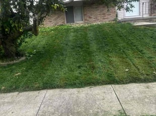 Weeding by George Byrd for Jackie F. in Omaha, NE