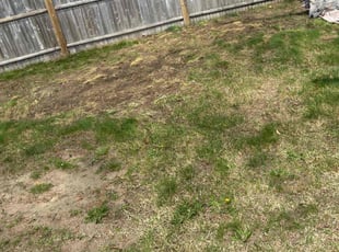 Leaf Removal by Matthew Achey for Marco C. in Warwick, RI