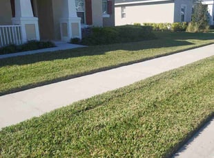 Mitch M.'s Lawn Maintenance service result