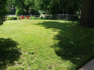 Lisa D.'s Lawn Care service result