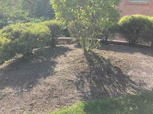 Cleanups by Joshua Hall for Kenneth T. in Hamilton, OH