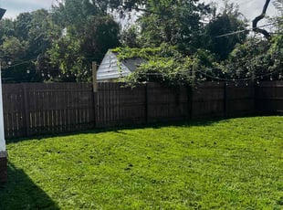 Kartheek R.'s Lawn Care service result