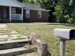 Terrie W.'s Lawn Mowing Service service result