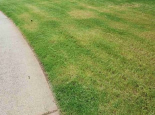 Cleanups by Carlos Wright for Trang V. in Suwanee, GA