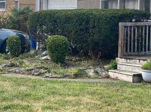 Bush Trimming by Buckeye Touch for Lillie H. in Columbus, OH