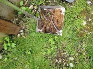 Cleanups by Kenneth Rachal for Katrina M. in Puyallup, WA