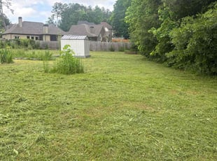 Cleanups by Yaneth Figueroa for Michael P. in Dallas, GA