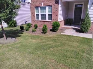 Bush Trimming by Andre Thompson for Rob C. in Monroe, NC