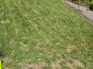 Mulching by Salvador Garcia Vega for Tina P. in Oregon City, OR