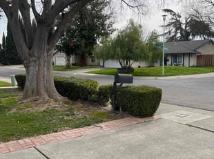 Bush Trimming by Robert Macias for Latrice C. in Sacramento, CA