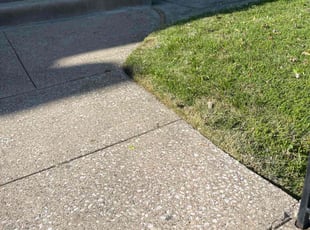 Joann H.'s Grass Cutting service result