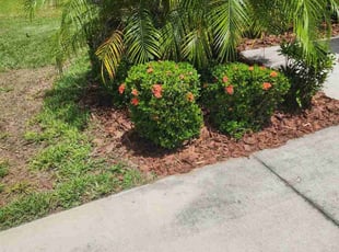 Mulching by Jennifer Butler for Shakim H. in Seffner, FL