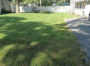 Wells J.'s Lawn Care service result