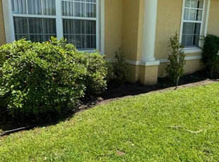 Weeding by Efrain Marrero for Serge P. in Lutz, FL